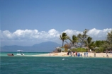 Australasian;Australia;Australian;Barrier-Reef;cay;cays;coast;coastal;coastline;coastlines;coasts;coral-cay;coral-cays;coral-reef;coral-reefs;Coral-Sea;dive-site;dive-sites;diver;divers;ecosystem;environment;Great-Barrier-Reef;Great-Barrier-Reef-Marine-Park;holiday;holidaying;holidays;Low-Is;Low-Is.;Low-Island;Low-Islands;Low-Isles;marine-environment;North-Queensland;ocean;Oceans;palm;palm-tree;palm-trees;palms;people;person;persons;Port-Douglas;Qld;Queensland;reef;reefs;sand-cay;sand-cays;Sea;Seas;shore;shoreline;shorelines;shores;snorkel;snorkeler;snorkelers;snorkeling;South-Pacific;swim;swimmer;swimmers;swimming;Tasman-Sea;tourism;tourist;tourists;travel;traveling;travelling;Tropcial-North-Queensland;tropical;tropical-reef;tropical-reefs;UNESCO-World-Heritage-Site;vacation;vacationers;vacationing;vacations;water;Wiorld-Heritage-Site;World-Heritage-Area;World-Heritage-Park