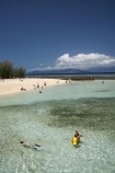 australasian;Australia;australian;Barrier-Reef;beach;beaches;cairns;cay;cays;coast;coastal;coastline;coastlines;coasts;coral-cay;coral-cays;coral-reef;coral-reefs;Coral-Sea;dive-site;dive-sites;diver;divers;Ecosystem;Environment;Great-Barrier-Reef;Great-Barrier-Reef-Marine-Park;Green-Is;Green-Is-NP;Green-Is.;green-island;Green-Island-N.P.;Green-Island-National-Park;Green-Island-NP;Green-Island-Resort;holiday;holiday-destination;holiday-destinations;holidaying;Holidays;marine-environment;North-Queensland;ocean;oceans;people;person;persons;Qld;queensland;reef;reefs;sand;sand-cay;sand-cays;sandy;sea;seas;shore;shoreline;shorelines;Shores;snorkel;snorkeler;snorkelers;snorkeling;south-pacific;swim;swimmer;swimmers;swimming;tasman-sea;tourism;tourist;tourists;travel;traveler;traveling;traveller;travelling;Tropcial-North-Queensland;tropical;tropical-reef;tropical-reefs;UNESCO-World-Heritage-Site;vacation;vacationers;vacationing;vacations;water;Wiorld-Heritage-Site;world-heritage-area;World-Heritage-Park;world-heritage-site