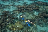 australasian;Australia;australian;Barrier-Reef;bikini;bikinis;boy;boys;cairns;cay;cays;child;children;coast;coastal;coastline;coastlines;coasts;coral-cay;coral-cays;coral-reef;coral-reefs;Coral-Sea;dive-site;dive-sites;diver;divers;Ecosystem;Environment;families;family;girl;girls;Great-Barrier-Reef;Great-Barrier-Reef-Marine-Park;Green-Is;Green-Is-NP;Green-Is.;green-island;Green-Island-N.P.;Green-Island-National-Park;Green-Island-NP;Green-Island-Resort;holiday;holiday-destination;holiday-destinations;holidaying;Holidays;marine-environment;mothe;North-Queensland;ocean;oceans;people;person;Persons;Qld;queensland;rash-suit;rash-suits;rashsuit;rashsuits;reef;reefs;sand-cay;sand-cays;sea;seas;shore;shoreline;shorelines;Shores;snorkel;snorkeler;snorkelers;snorkeling;south-pacific;stinger-suit;stinger-suits;swim;swimmer;swimmers;swimming;tasman-sea;tourism;tourist;tourists;travel;traveler;traveling;traveller;travelling;Tropcial-North-Queensland;tropical;tropical-reef;tropical-reefs;UNESCO-World-Heritage-Site;Vacation;Vacationers;vacationing;Vacations;water;Wiorld-Heritage-Site;woman;women;world-heritage-area;World-Heritage-Park;world-heritage-site