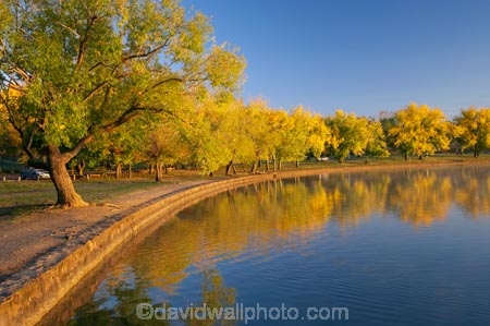 A.C.T.;ACT;Australia;Australian-Capital-Territory;autuminal;autumn;autumn-colour;autumn-colours;autumnal;Barton;Bowen-Park;calm;Canberra;capital;capitals;color;colors;colour;colours;deciduous;East-Basin;fall;lake;Lake-BG;Lake-Burley-Griffin;lakes;leaf;leaves;park;parks;placid;quiet;reflection;reflections;season;seasonal;seasons;serene;smooth;still;tranquil;tree;trees;water