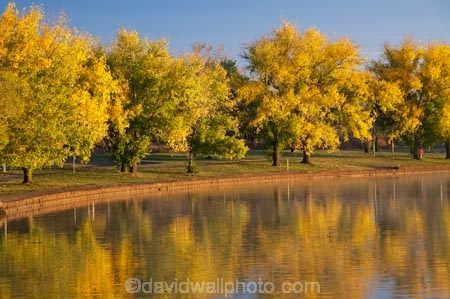 A.C.T.;ACT;Australia;Australian-Capital-Territory;autuminal;autumn;autumn-colour;autumn-colours;autumnal;Barton;Bowen-Park;calm;Canberra;capital;capitals;color;colors;colour;colours;deciduous;East-Basin;fall;lake;Lake-BG;Lake-Burley-Griffin;lakes;leaf;leaves;park;parks;placid;quiet;reflection;reflections;season;seasonal;seasons;serene;smooth;still;tranquil;tree;trees;water