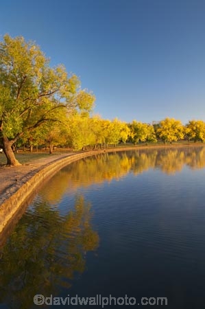 A.C.T.;ACT;Australia;Australian-Capital-Territory;autuminal;autumn;autumn-colour;autumn-colours;autumnal;Barton;Bowen-Park;calm;Canberra;capital;capitals;color;colors;colour;colours;deciduous;East-Basin;fall;lake;Lake-BG;Lake-Burley-Griffin;lakes;leaf;leaves;park;parks;placid;quiet;reflection;reflections;season;seasonal;seasons;serene;smooth;still;tranquil;tree;trees;water