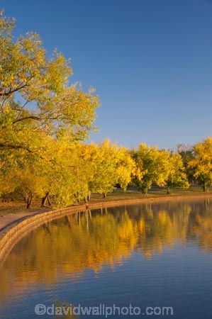 A.C.T.;ACT;Australia;Australian-Capital-Territory;autuminal;autumn;autumn-colour;autumn-colours;autumnal;Barton;Bowen-Park;calm;Canberra;capital;capitals;color;colors;colour;colours;deciduous;East-Basin;fall;lake;Lake-BG;Lake-Burley-Griffin;lakes;leaf;leaves;park;parks;placid;quiet;reflection;reflections;season;seasonal;seasons;serene;smooth;still;tranquil;tree;trees;water