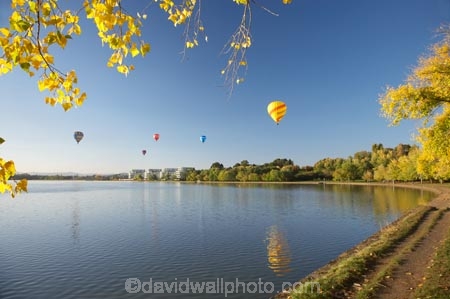 A.C.T.;ACT;adventure;air;Australia;Australian-Capital-Territory;autuminal;autumn;autumn-colour;autumn-colours;autumnal;aviation;balloon;ballooning;balloons;Barton;Bowen-Park;calm;Canberra;capital;capitals;color;colorful;colors;colour;colourful;colours;deciduous;East-Basin;fall;flight;float;floating;fly;flying;hot-air-balloon;hot-air-ballooning;hot-air-balloons;hot_air-balloon;hot_air-ballooning;hot_air-balloons;hotair-balloon;hotair-balloons;lake;Lake-BG;Lake-Burley-Griffin;lakes;leaf;leaves;mid-air;mid_air;park;parks;placid;quiet;reflection;reflections;season;seasonal;seasons;serene;smooth;sport;sports;still;tourism;tranquil;transport;transportation;tree;trees;water
