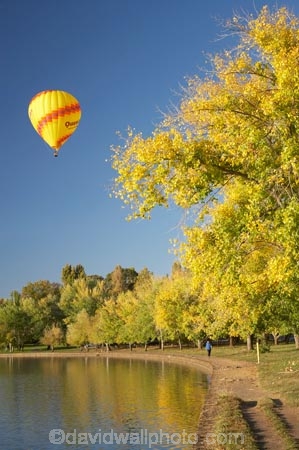 A.C.T.;ACT;adventure;air;Australia;Australian-Capital-Territory;autuminal;autumn;autumn-colour;autumn-colours;autumnal;aviation;balloon;ballooning;balloons;Barton;Bowen-Park;calm;Canberra;capital;capitals;color;colorful;colors;colour;colourful;colours;deciduous;East-Basin;fall;flight;float;floating;fly;flying;hot-air-balloon;hot-air-ballooning;hot-air-balloons;hot_air-balloon;hot_air-ballooning;hot_air-balloons;hotair-balloon;hotair-balloons;lake;Lake-BG;Lake-Burley-Griffin;lakes;leaf;leaves;mid-air;mid_air;park;parks;placid;quiet;reflection;reflections;season;seasonal;seasons;serene;smooth;sport;sports;still;tourism;tranquil;transport;transportation;tree;trees;water