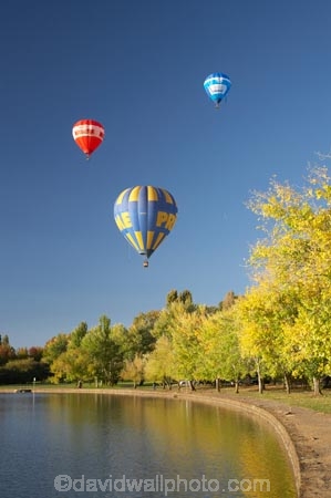 A.C.T.;ACT;adventure;air;Australia;Australian-Capital-Territory;autuminal;autumn;autumn-colour;autumn-colours;autumnal;aviation;balloon;ballooning;balloons;Barton;Bowen-Park;calm;Canberra;capital;capitals;color;colorful;colors;colour;colourful;colours;deciduous;East-Basin;fall;flight;float;floating;fly;flying;hot-air-balloon;hot-air-ballooning;hot-air-balloons;hot_air-balloon;hot_air-ballooning;hot_air-balloons;hotair-balloon;hotair-balloons;lake;Lake-BG;Lake-Burley-Griffin;lakes;leaf;leaves;mid-air;mid_air;park;parks;placid;quiet;reflection;reflections;season;seasonal;seasons;serene;smooth;sport;sports;still;tourism;tranquil;transport;transportation;tree;trees;water