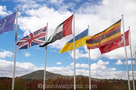 A.C.T.;ACT;Australia;Australian-Capital-Territory;blowing;Canberra;capital;capitals;flag;flag-pole;flag-poles;flag-post;flag-posts;flagpole;flagpoles;flagpost;flagposts;flags;flagstaff;wind;windy