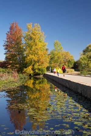 A.C.T.;ACT;Australia;Australian-Capital-Territory;autuminal;autumn;autumn-colour;autumn-colours;autumnal;bridge;bridges;calm;Canberra;capital;capitals;child;children;color;colors;colour;colours;Commonwealth-Park;deciduous;fall;families;family;foot-bridge;foot-bridges;footbridge;footbridges;leaf;leaves;Nerang-Pool;pedestrian-bridge;pedestrian-bridges;people;person;placid;pond;ponds;quiet;reflection;reflections;season;seasonal;seasons;serene;smooth;still;Swamp-Cypress;Taxodium-distichum;tranquil;tree;trees;water