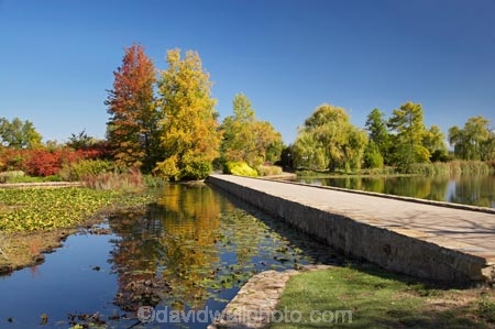 A.C.T.;ACT;Australia;Australian-Capital-Territory;autuminal;autumn;autumn-colour;autumn-colours;autumnal;bridge;bridges;calm;Canberra;capital;capitals;color;colors;colour;colours;Commonwealth-Park;deciduous;fall;foot-bridge;foot-bridges;footbridge;footbridges;leaf;leaves;Nerang-Pool;park;parks;pedestrian-bridge;pedestrian-bridges;placid;pond;ponds;quiet;reflection;reflections;season;seasonal;seasons;serene;smooth;still;Swamp-Cypress;Taxodium-distichum;tranquil;tree;trees;water