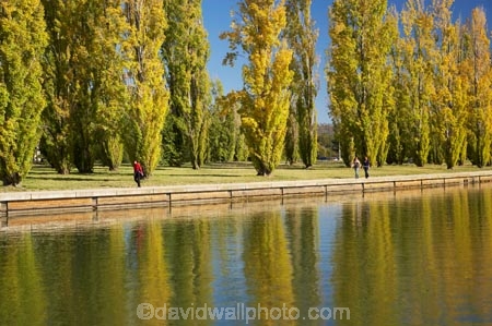 A.C.T.;ACT;Australia;Australian-Capital-Territory;autuminal;autumn;autumn-colour;autumn-colours;autumnal;calm;Canberra;capital;capitals;color;colors;colour;colours;deciduous;fall;lake;Lake-BG;Lake-Burley-Griffin;lakes;leaf;leaves;Lennox-Gardens;park;parks;placid;poplar;poplar-tree;poplar-trees;poplars;quiet;reflection;reflections;season;seasonal;seasons;serene;smooth;still;tranquil;tree;trees;water;West-Lake