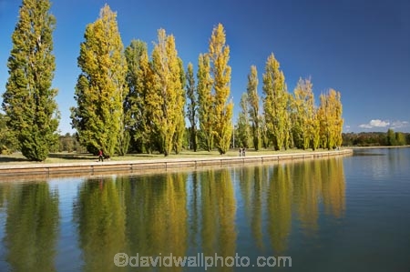 A.C.T.;ACT;Australia;Australian-Capital-Territory;autuminal;autumn;autumn-colour;autumn-colours;autumnal;calm;Canberra;capital;capitals;color;colors;colour;colours;deciduous;fall;lake;Lake-BG;Lake-Burley-Griffin;lakes;leaf;leaves;Lennox-Gardens;park;parks;placid;poplar;poplar-tree;poplar-trees;poplars;quiet;reflection;reflections;season;seasonal;seasons;serene;smooth;still;tranquil;tree;trees;water;West-Lake