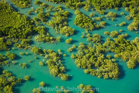 aerial;aerial-image;aerial-images;aerial-photo;aerial-photograph;aerial-photographs;aerial-photography;aerial-photos;aerial-view;aerial-views;aerials;Australasian;Australia;Australian;Bleesers-Creek;Charles-Darwin-N.P.;Charles-Darwin-National-Park;Charles-Darwin-NP;Darwin;estuaries;estuary;inlet;inlets;lagoon;lagoons;mangrove;mangrove-swamp;mangrove-swamps;mangroves;N.T.;National-Parks;Northern-Territory;NT;tidal;tide;Top-End;water
