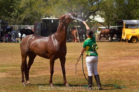 Australasian;Australia;Australian;Darwin;equestrian;fair;fairs;Freds-Pass-Rural-Show;horse;horses;N.T.;Northern-Territory;NT;people;person;polo-cross;polocross;polocross-rider;polocross-riders;polocrosse;polocrosse-rider;polocrosse-riders;rural-show;rural-shows;show;shows;sport;sports;spraying;Top-End;water