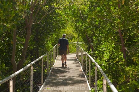 Australasian;Australia;Australian;boardwalk;boardwalks;Darwin;East-Point-Recreation-Reserve;East-Point-Reserve;male;man;mangrove;Mangrove-Boardwalk;mangroves;N.T.;Northern-Territory;NT;people;person;Top-End