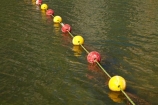 Australasian;Australia;Australian;buoy;buoys;Darwin;Darwin-Waterfront;Darwin-Waterfront-Precinct;N.T.;Northern-Territory;NT;red;Top-End;yellow