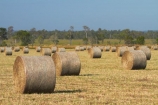 agricultural;agriculture;Australasian;Australia;Australian;country;countryside;crop;crops;Darwin;farm;farming;farmland;farms;field;fields;hay-bale;hay-bales;hay_bale;hay_bales;horticulture;meadow;meadows;N.T.;Northern-Territory;NT;paddock;paddocks;pasture;pastures;rural;Top-End