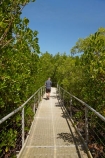Australasian;Australia;Australian;boardwalk;boardwalks;Darwin;East-Point-Recreation-Reserve;East-Point-Reserve;male;man;mangrove;Mangrove-Boardwalk;mangroves;N.T.;Northern-Territory;NT;people;person;Top-End