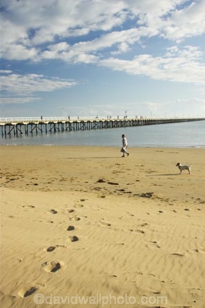 australasia;Australia;australian;beach;beaches;cloud;clouds;coast;coastal;coastline;early-light;foot-print;foot-prints;foot-steps;foot_print;foot_prints;foot_steps;footprint;footprints;footsteps;Fraser-Coast;Hervey-Bay;jetties;jetty;people;person;pier;piers;queensland;sand;sandy;shore;shoreline;sky;Urangan-pier;wharf;wharfs;wharves