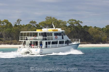 australasia;Australia;australian;boat;boats;catamaran;catamarans;coast;coastal;ferries;ferry;Fraser-Coast;fraser-island;great-sandy-n.p.;great-sandy-national-park;great-sandy-np;Hervey-Bay;islands;passengers;queensland;vessel;vessels
