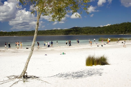 australasia;Australia;australian;beach;beaches;bush;children;forest;Fraser-Island;great-sandy-n.p.;great-sandy-national-park;great-sandy-np;islands;lake;Lake-Birrabeen;lakes;native-bush;people;perched-lake;perched-lakes;person;queensland;UN-world-heritage-site;united-nations-world-heritage-s;white-sand;white-sands;world-heritage;World-Heritage-site