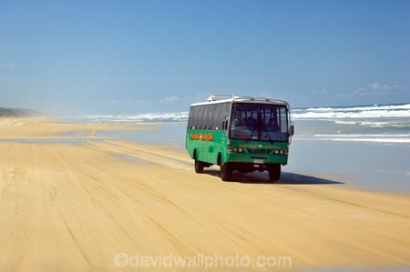 4wd;4wds;4wds;4x4;4x4s;4x4s;australasia;Australia;australian;beach;beaches;bus;buses;coach;coaches;coast;coastal;coastline;coastlines;four-by-four;four-by-fours;four-wheel-drive;four-wheel-drives;Fraser-Island;golden-sand;great-sandy-n.p.;great-sandy-national-park;great-sandy-np;islands;queensland;sand;sandy;seventy-five-mile-beach;shore;shoreline;shorelines;UN-world-heritage-site;united-nations-world-heritage-s;world-heritage;World-Heritage-site;yellow-sand