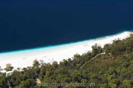 aerial;aerials;australasia;Australia;australian;beach;beaches;boorangora;bush;forest;Fraser-Island;great-sandy-n.p.;great-sandy-national-park;great-sandy-np;islands;lake-boorangora;Lake-McKenzie;lakes;native-bush;perched-lake;perched-lakes;queensland;UN-world-heritage-site;united-nations-world-heritage-s;white-sand;world-heritage;World-Heritage-site