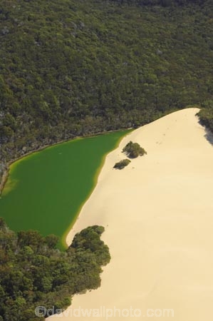 aerial;aerials;australasia;Australia;australian;barrier-lake;barrier-lakes;beach;beaches;bush;forest;Fraser-Island;golden-sand;great-sandy-n.p.;great-sandy-national-park;great-sandy-np;green;hammerstone-sand-blow;islands;Lake-Wabby;lakes;native-bush;queensland;sand-blow;sand-blows;sand-dune;sand-dunes;UN-world-heritage-site;united-nations-world-heritage-s;world-heritage;World-Heritage-site;yellow-sand