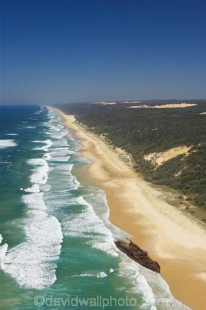 aerial;aerials;australasia;Australia;australian;beach;beaches;bush;coast;coastal;coastline;coastlines;disaster;disasters;forest;Fraser-Island;golden-sand;great-sandy-n.p.;great-sandy-national-park;great-sandy-np;grounding;islands;liner;liners;maheno;native-bush;queensland;rust;rusted;rusty;sand-dune;sand-dunes;seventy-five-mile-beach;ship;ship-wreck;ship-wrecks;ship_wreck;ship_wrecks;shipping;ships;shipwreck;shipwrecks;shore;shoreline;shorelines;UN-world-heritage-site;united-nations-world-heritage-s;wave;waves;world-heritage;World-Heritage-site;wreck;wreckage;wrecked;wrecks;yellow-sand