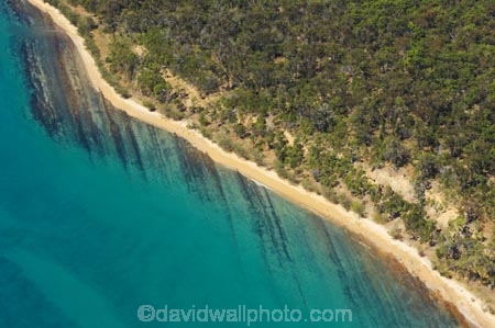 aerial;aerials;aqua;australasia;Australia;australian;big-woody-island;blue;coast;coastal;coastline;Fraser-Coast;Fraser-Island;great-sandy-n.p.;great-sandy-national-park;great-sandy-np;Great-Sandy-Straits;green;Hervey-Bay;islands;marine;ocean;oceans;pacific-ocean;Queensland;sea;seas;shore;shoreline;teal;tidal;tide;water