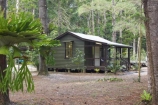 australasia;Australia;australian;building;buildings;central-station;forest;forests;Fraser-Island;great-sandy-n.p.;great-sandy-national-park;great-sandy-np;historic;historical;hut;huts;islands;native-bush;natural;queensland;rainforest;tree;trees;UN-world-heritage-site;united-nations-world-heritage-s;vegetation;world-heritage;World-Heritage-site