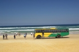 4wd;4wds;4wds;4x4;4x4s;4x4s;australasia;Australia;australian;beach;beaches;bus;buses;coach;coaches;coast;coastal;coastline;coastlines;four-by-four;four-by-fours;four-wheel-drive;four-wheel-drives;Fraser-Island;golden-sand;great-sandy-n.p.;great-sandy-national-park;great-sandy-np;islands;passenger;passengers;queensland;sand;sandy;seventy-five-mile-beach;shore;shoreline;shorelines;tourism;tourist;tourists;travel;UN-world-heritage-site;united-nations-world-heritage-s;world-heritage;World-Heritage-site;yellow-sand