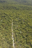 aerial;aerials;australasia;Australia;australian;bush;forest;forests;Fraser-Island;great-sandy-n.p.;great-sandy-national-park;great-sandy-np;islands;native-bush;queensland;road;roads;sandy-track;tracks;UN-world-heritage-site;united-nations-world-heritage-s;world-heritage;World-Heritage-site