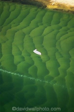 aerial;aerials;australasia;Australia;boat;boats;Broadwater;coast;coastal;Gold-Coast;holiday;holidays;inlet;inlets;island;islands;launch;launches;main-beach;pattern;patterns;queensland;ripple;ripples;sand;sand-bar;sand-bars;sand-pattern;sandy;shallow;southport;surfers-paradise;the-broadwater;the-spit;tourism;transparent;travel;vacation;vacations;water;yacht;yachts