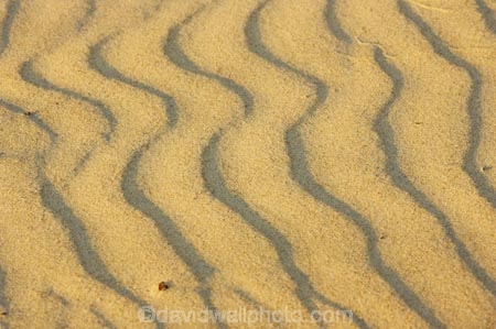 Arid;Aridity;austalian;australasia;Australia;Background;Backgrounds;Barren;beach;beaches;coolangatta;Desert;Deserts;Desolate;Desolation;Dry;Dune;Dunes;Earth;Exterior;gold-coast;Ground;Grounds;Natural-background;Natural-backgrounds;Nature;Outdoor;Outdoors;Outside;pattern;patterns;queensland;Ripple;Ripples;Sand;sandy;Surface;Surfaces;Texture;Textures;Wave;Waves