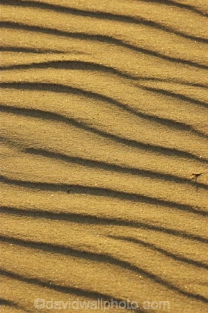 Arid;Aridity;austalian;australasia;Australia;Background;Backgrounds;Barren;beach;beaches;coolangatta;Desert;Deserts;Desolate;Desolation;Dry;Dune;Dunes;Earth;Exterior;gold-coast;Ground;Grounds;Natural-background;Natural-backgrounds;Nature;Outdoor;Outdoors;Outside;pattern;patterns;queensland;Ripple;Ripples;Sand;sandy;Surface;Surfaces;Texture;Textures;Wave;Waves