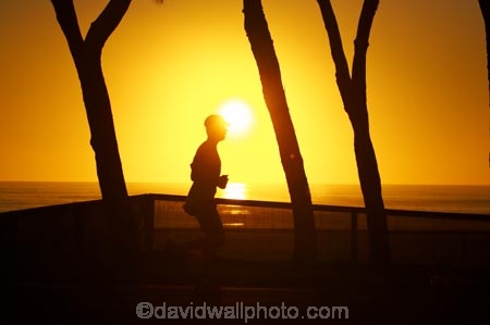 australasia;Australia;beach;beaches;dawn;fitness;Gold-Coast;jog;jogger;joggers;jogging;ocean;pacific-ocean;queensland;run;runner;runners;running;silhouette;silhouettes;sunrise;sunrises;surfers-paradise;tasman-sea;tourism;travel;twilight;vacation;vacations
