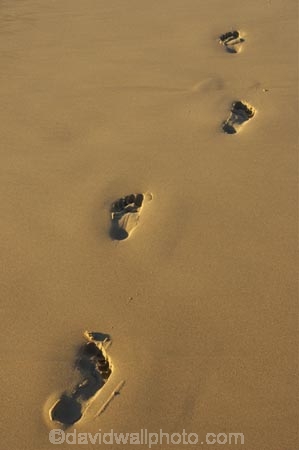 australasia;Australia;bare-feet;bare-foot;beach;beaches;coast;coastal;direction;early-light;foot-print;foot-prints;foot-step;foot-steps;footprint;footprints;footstep;footsteps;freedom;Gold-Coast;holiday;holidays;queensland;sand;sandy;surfers-paradise;tourism;travel;vacation;vacations