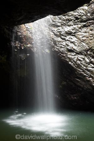 arch;arches;australasia;Australia;australian;brook;brooks;cascade;cascades;cave;cavern;caverns;caves;creek;creeks;damp;feature;flow;geological;geology;Gold-Coast;Hinterland;lush;natural;Natural-Bridge-Waterfall;nature;Queensland;rain;rain-forest;rain-forests;rain_forest;rain_forests;rainforest;rainforests;rainy;rock;rocks;rocky;Springbrook-National-Park;stream;streams;water;waterfall;waterfalls;wet;wilderness