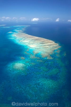 aerial;aerial-photo;aerial-photograph;aerial-photographs;aerial-photography;aerial-photos;aerial-view;aerial-views;aerials;australasian;Australia;australian;Barrier-Reef;blue;cay;cays;coral-cay;coral-cays;coral-reef;coral-reefs;Coral-Sea;dive-site;dive-sites;Ecosystem;Environment;Great-Barrier-Reef;Great-Barrier-Reef-Marine-Park;marine-environment;North-Queensland;ocean;oceans;Qld;queensland;reef;reefs;Rudder-Reef;sea;seas;south-pacific;tasman-sea;Tropcial-North-Queensland;tropical;tropical-reef;tropical-reefs;turquoise;UNESCO-World-Heritage-Site;world-heritage-area;World-Heritage-Park;world-heritage-site