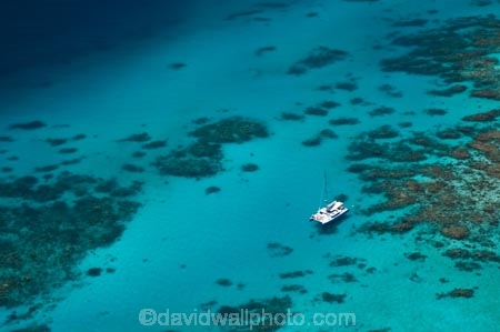 aerial;aerial-photo;aerial-photograph;aerial-photographs;aerial-photography;aerial-photos;aerial-view;aerial-views;aerials;australasian;Australia;australian;Barrier-Reef;blue;coral-reef;coral-reefs;Coral-Sea;dive-boat;dive-boats;dive-site;dive-sites;Ecosystem;Environment;Great-Barrier-Reef;Great-Barrier-Reef-Marine-Park;marine-environment;North-Queensland;ocean;oceans;Qld;queensland;reef;reefs;sea;seas;south-pacific;tasman-sea;Tongue-Reef;Tropcial-North-Queensland;tropical;tropical-reef;tropical-reefs;turquoise;UNESCO-World-Heritage-Site;world-heritage-area;World-Heritage-Park;world-heritage-site;yacht;yachts