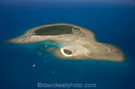 aerial;aerial-photo;aerial-photograph;aerial-photographs;aerial-photography;aerial-photos;aerial-view;aerial-views;aerials;australasian;Australia;australian;Barrier-Reef;boat;boats;cay;cays;coast;coastal;coastline;coastlines;coasts;coral-cay;coral-cays;coral-reef;coral-reefs;Coral-Sea;cruise;cruises;dive-site;dive-sites;Ecosystem;Environment;Great-Barrier-Reef;Great-Barrier-Reef-Marine-Park;holiday;holidaying;Holidays;launch;launches;Low-Is;Low-Is.;Low-Island;Low-Islands;Low-Isles;marine-environment;North-Queensland;ocean;oceans;Qld;queensland;reef;reefs;sand-cay;sand-cays;sea;seas;shore;shoreline;shorelines;Shores;south-pacific;tasman-sea;tour-boat;tour-boats;tourism;tourist;tourist-boat;tourist-boats;travel;traveling;travelling;Tropcial-North-Queensland;tropical;tropical-reef;tropical-reefs;UNESCO-World-Heritage-Site;Vacation;vacationing;Vacations;water;Woody-Island;world-heritage-area;World-Heritage-Park;world-heritage-site