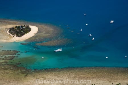aerial;aerial-photo;aerial-photograph;aerial-photographs;aerial-photography;aerial-photos;aerial-view;aerial-views;aerials;australasian;Australia;australian;Barrier-Reef;boat;boats;cay;cays;coast;coastal;coastline;coastlines;coasts;coral-cay;coral-cays;coral-reef;coral-reefs;Coral-Sea;cruise;cruises;dive-site;dive-sites;Ecosystem;Environment;Great-Barrier-Reef;Great-Barrier-Reef-Marine-Park;holiday;holidaying;Holidays;launch;launches;Low-Is;Low-Is.;Low-Island;Low-Islands;Low-Isles;marine-environment;North-Queensland;ocean;oceans;Qld;queensland;reef;reefs;sand-cay;sand-cays;sea;seas;shore;shoreline;shorelines;Shores;south-pacific;tasman-sea;tour-boat;tour-boats;tourism;tourist;tourist-boat;tourist-boats;travel;traveling;travelling;Tropcial-North-Queensland;tropical;tropical-reef;tropical-reefs;UNESCO-World-Heritage-Site;Vacation;vacationing;Vacations;water;Wave-Dancer;Wavedancer;world-heritage-area;World-Heritage-Park;world-heritage-site