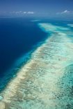 aerial;aerial-photo;aerial-photograph;aerial-photographs;aerial-photography;aerial-photos;aerial-view;aerial-views;aerials;australasian;Australia;australian;Barrier-Reef;blue;coral-reef;coral-reefs;Coral-Sea;dive-site;dive-sites;Ecosystem;Environment;Great-Barrier-Reef;Great-Barrier-Reef-Marine-Park;marine-environment;North-Queensland;ocean;oceans;Qld;queensland;reef;reefs;sea;seas;south-pacific;tasman-sea;Tongue-Reef;Tropcial-North-Queensland;tropical;tropical-reef;tropical-reefs;turquoise;UNESCO-World-Heritage-Site;world-heritage-area;World-Heritage-Park;world-heritage-site