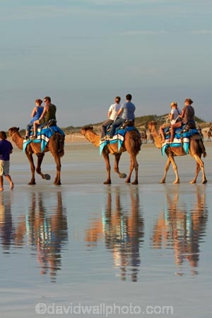 Australasian;Australia;Australian;beach;beaches;Broome;calm;camel;camel-train;camel-trains;camels;coast;coastal;coastline;Kimberley;Kimberley-Region;placid;quiet;reflection;reflections;sand;sandy;serene;shore;shoreline;smooth;still;The-Kimberley;tourism;tourist;tourist-attraction;tourist-attractions;tourists;tranquil;W.A.;WA;water;West-Australia;Western-Australia