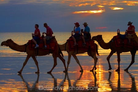 Australasian;Australia;Australian;beach;beaches;Broome;Cable-Beach;calm;camel;camel-train;camel-trains;camels;cloud;clouds;coast;coastal;coastline;dusk;evening;icon;iconic;icons;Kimberley;Kimberley-Region;nightfall;orange;placid;quiet;reflection;reflections;sand;sandy;serene;shore;shoreline;silhouette;silhouettes;sky;smooth;still;sunset;sunsets;The-Kimberley;tourism;tourist;tourist-attraction;tourist-attractions;tourists;tranquil;twilight;W.A.;WA;water;West-Australia;Western-Australia