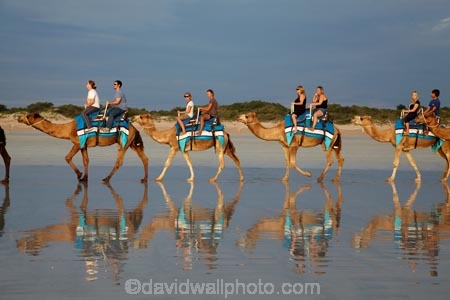Australasian;Australia;Australian;beach;beaches;black-cloud;black-clouds;Broome;calm;camel;camel-train;camel-trains;camels;cloud;clouds;cloudy;coast;coastal;coastline;dark-cloud;dark-clouds;gray-cloud;gray-clouds;grey-cloud;grey-clouds;Kimberley;Kimberley-Region;last-light;late-light;placid;quiet;rain-cloud;rain-clouds;rain-storm;rain-storms;reflection;reflections;sand;sandy;serene;shore;shoreline;smooth;still;storm;storms;The-Kimberley;tourism;tourist;tourist-attraction;tourist-attractions;tourists;tranquil;W.A.;WA;water;West-Australia;Western-Australia
