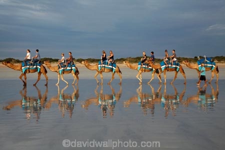 Australasian;Australia;Australian;beach;beaches;black-cloud;black-clouds;Broome;calm;camel;camel-train;camel-trains;camels;cloud;clouds;cloudy;coast;coastal;coastline;dark-cloud;dark-clouds;gray-cloud;gray-clouds;grey-cloud;grey-clouds;Kimberley;Kimberley-Region;last-light;late-light;placid;quiet;rain-cloud;rain-clouds;rain-storm;rain-storms;reflection;reflections;sand;sandy;serene;shore;shoreline;smooth;still;storm;storms;The-Kimberley;tourism;tourist;tourist-attraction;tourist-attractions;tourists;tranquil;W.A.;WA;water;West-Australia;Western-Australia