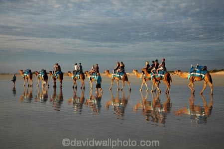 Australasian;Australia;Australian;beach;beaches;black-cloud;black-clouds;Broome;calm;camel;camel-train;camel-trains;camels;cloud;clouds;cloudy;coast;coastal;coastline;dark-cloud;dark-clouds;gray-cloud;gray-clouds;grey-cloud;grey-clouds;icon;iconic;icons;Kimberley;Kimberley-Region;last-light;late-light;placid;quiet;rain-cloud;rain-clouds;rain-storm;rain-storms;reflection;reflections;sand;sandy;serene;shore;shoreline;smooth;still;storm;storms;The-Kimberley;tourism;tourist;tourist-attraction;tourist-attractions;tourists;tranquil;W.A.;WA;water;West-Australia;Western-Australia