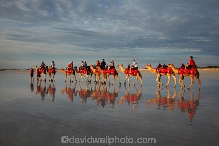Australasian;Australia;Australian;beach;beaches;Broome;calm;camel;camel-train;camel-trains;camels;cloud;clouds;coast;coastal;coastline;icon;iconic;icons;Kimberley;Kimberley-Region;last-light;late-light;placid;quiet;reflection;reflections;sand;sandy;serene;shore;shoreline;smooth;still;The-Kimberley;tourism;tourist;tourist-attraction;tourist-attractions;tourists;tranquil;W.A.;WA;water;West-Australia;Western-Australia