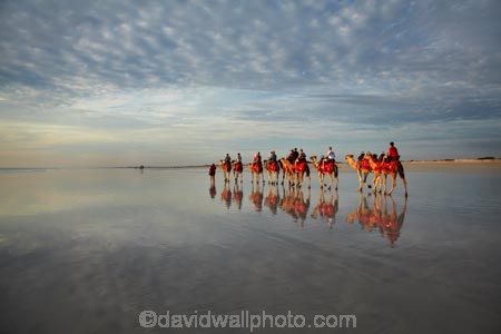 Australasian;Australia;Australian;beach;beaches;Broome;calm;camel;camel-train;camel-trains;camels;cloud;clouds;coast;coastal;coastline;icon;iconic;icons;Kimberley;Kimberley-Region;last-light;late-light;placid;quiet;reflection;reflections;sand;sandy;serene;shore;shoreline;smooth;still;The-Kimberley;tourism;tourist;tourist-attraction;tourist-attractions;tourists;tranquil;W.A.;WA;water;West-Australia;Western-Australia